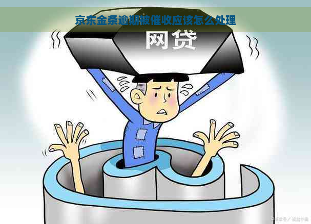 京东金条逾期被应该怎么处理