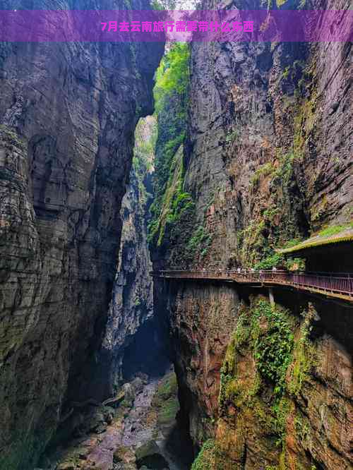 7月去云南旅行需要带什么东西