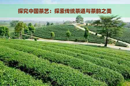 探究中国茶艺：探索传统茶道与茶韵之美