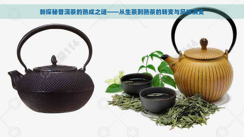 新探秘普洱茶的熟成之谜——从生茶到熟茶的转变与风味演变