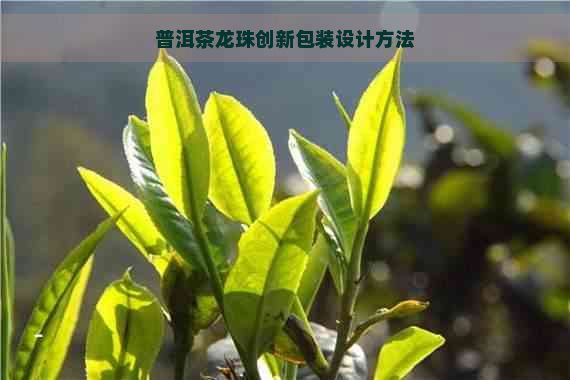 普洱茶龙珠创新包装设计方法