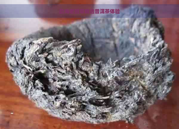 勐海老班章精选普洱茶体验