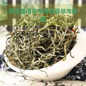 西安普洱茶市场的现状与展望