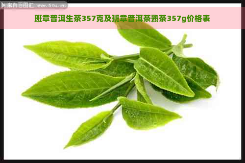 班章普洱生茶357克及班章普洱茶熟茶357g价格表