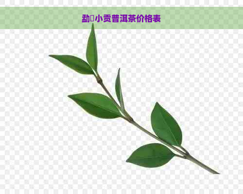 勐曌小贡普洱茶价格表