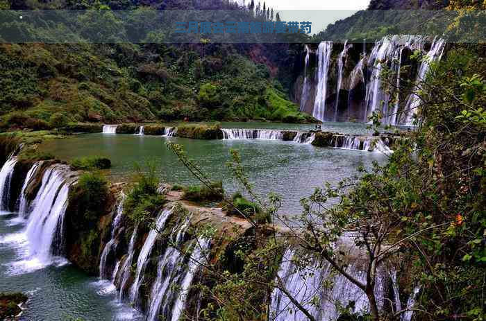 三月底去云南旅游要带药