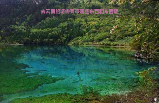 去云南旅游需要带哪些东西和东西呢