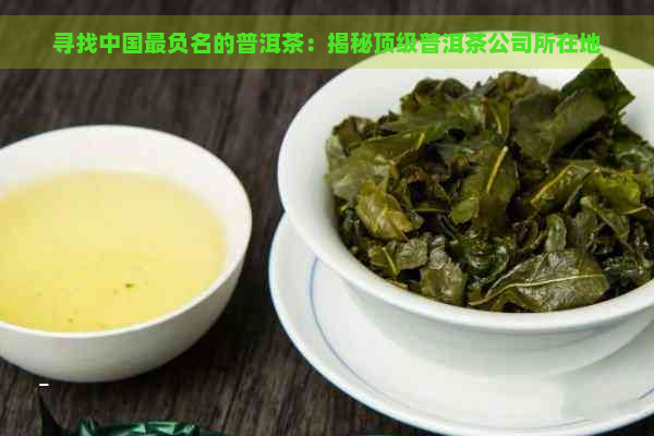 寻找中国最负名的普洱茶：揭秘顶级普洱茶公司所在地