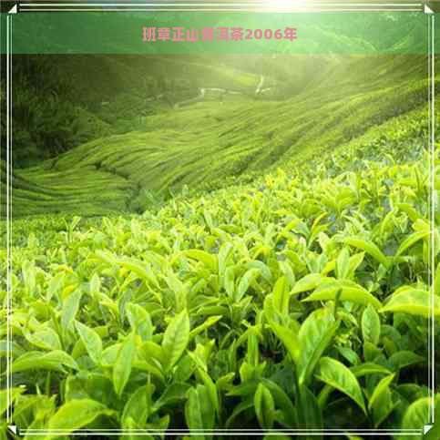 班章正山普洱茶2006年