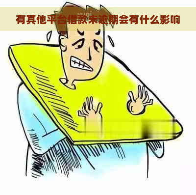 有其他平台借款未逾期会有什么影响