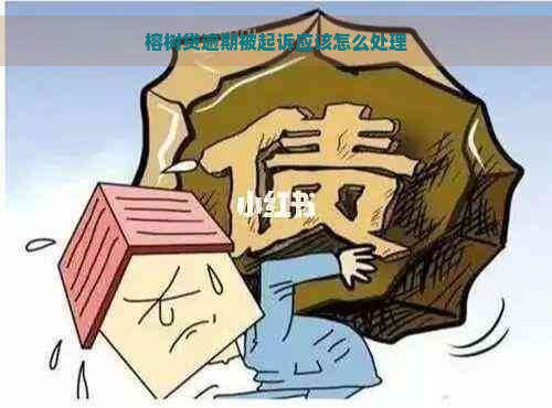 榕树贷逾期被起诉应该怎么处理