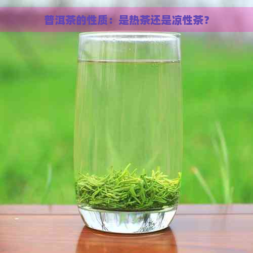 普洱茶的性质：是热茶还是凉性茶？