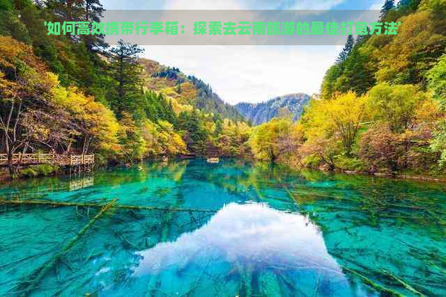 '如何高效携带行李箱：探索去云南旅游的更佳打包方法'