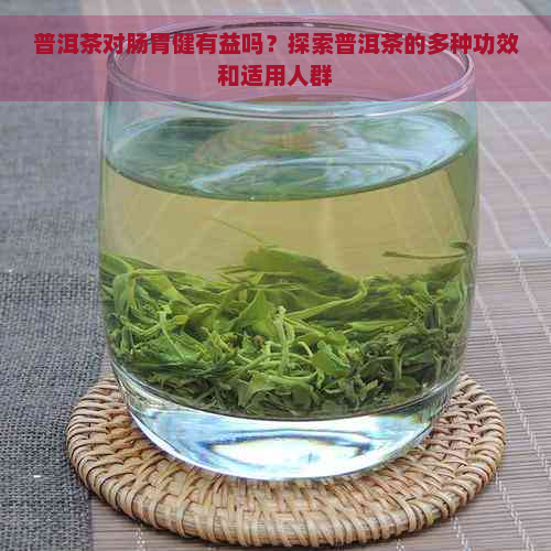 普洱茶对肠胃健有益吗？探索普洱茶的多种功效和适用人群