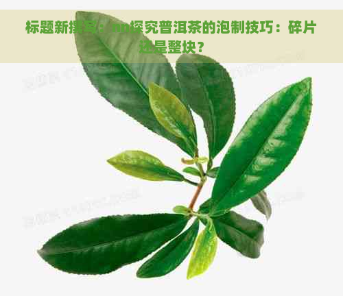 标题新撰写：nn探究普洱茶的泡制技巧：碎片还是整块？