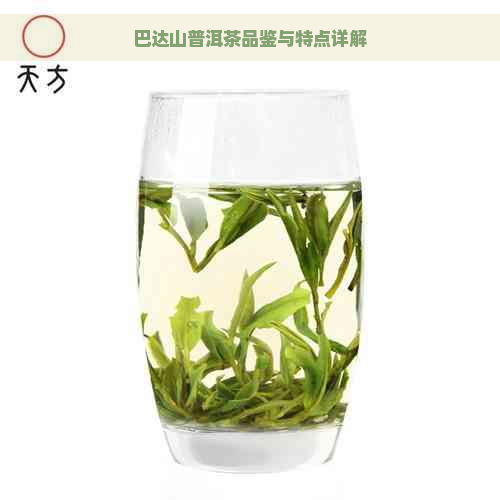 巴达山普洱茶品鉴与特点详解