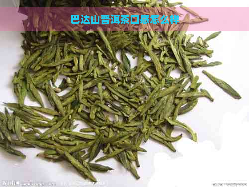 巴达山普洱茶口感怎么样