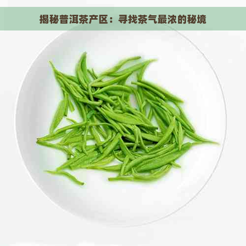 揭秘普洱茶产区：寻找茶气最浓的秘境