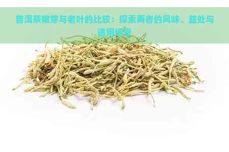 普洱茶嫩芽与老叶的比较：探索两者的风味、益处与适用场景