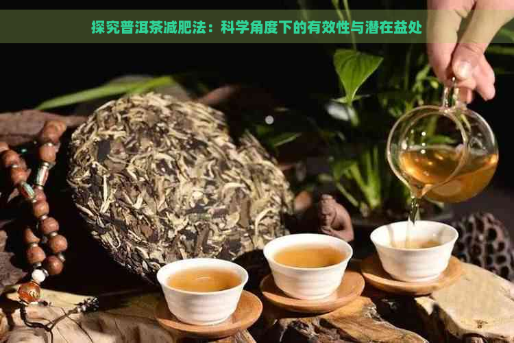 探究普洱茶减肥法：科学角度下的有效性与潜在益处