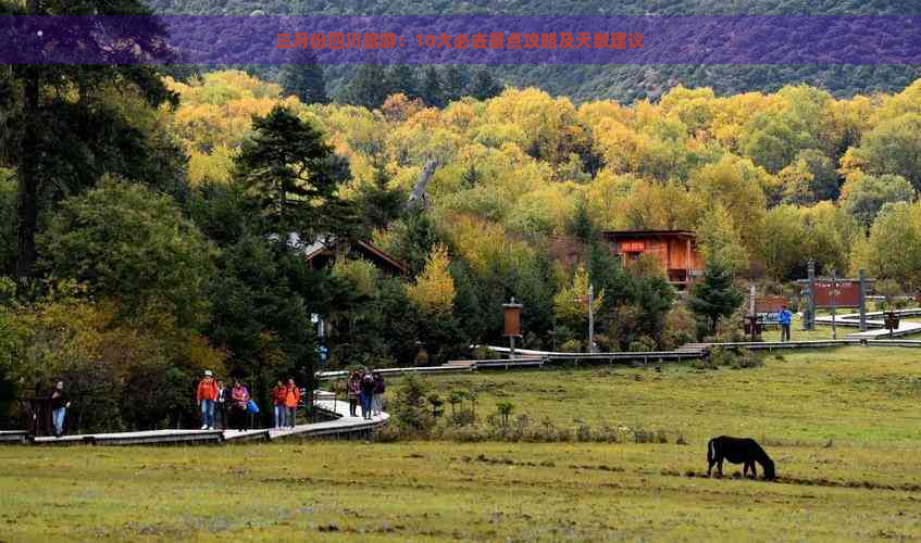 三月份四川旅游：10大必去景点攻略及天数建议