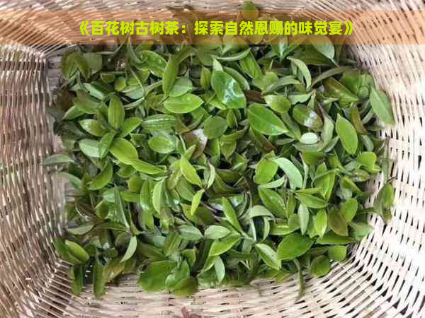 《百花树古树茶：探索自然恩赐的味觉宴》