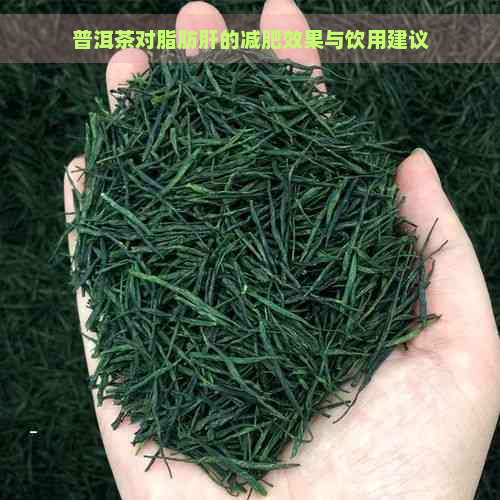 普洱茶对脂肪肝的减肥效果与饮用建议