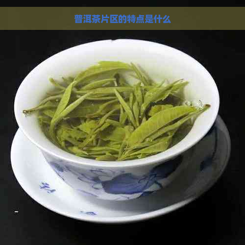 普洱茶片区的特点是什么