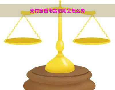 支付宝备用金逾期会怎么办