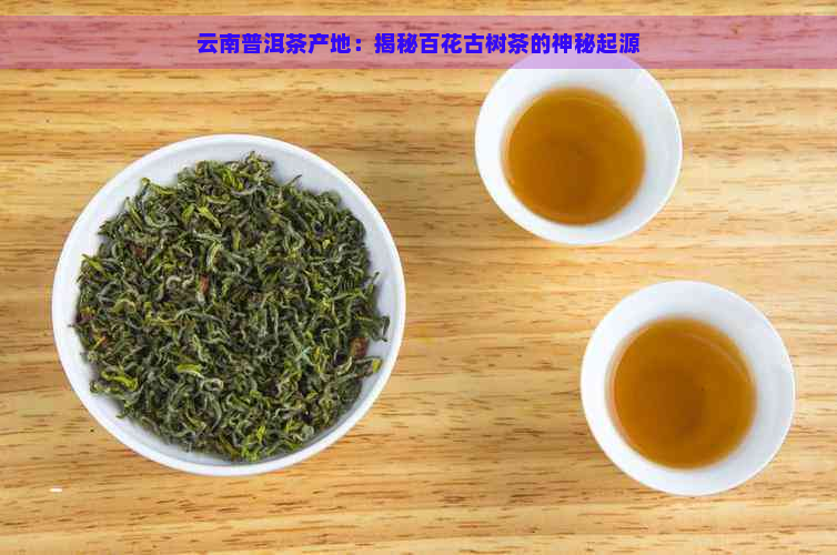 云南普洱茶产地：揭秘百花古树茶的神秘起源