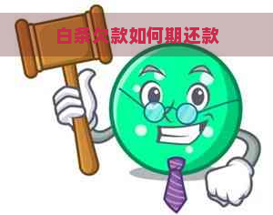 白条欠款如何期还款