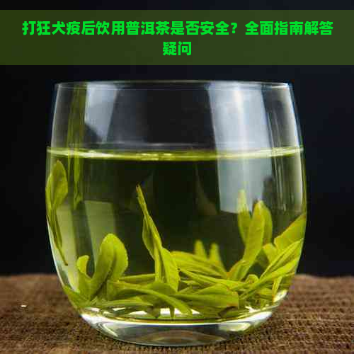 打狂犬疫后饮用普洱茶是否安全？全面指南解答疑问