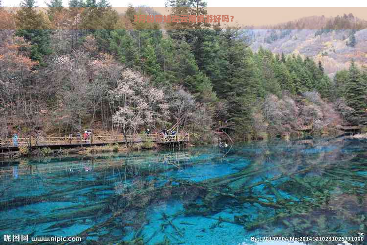 3月份带娃去云南旅游好吗？