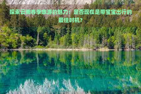 探索云南春季旅游的魅力：是否现在是带宝宝出行的更佳时机？