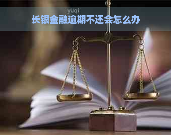 长银金融逾期不还会怎么办