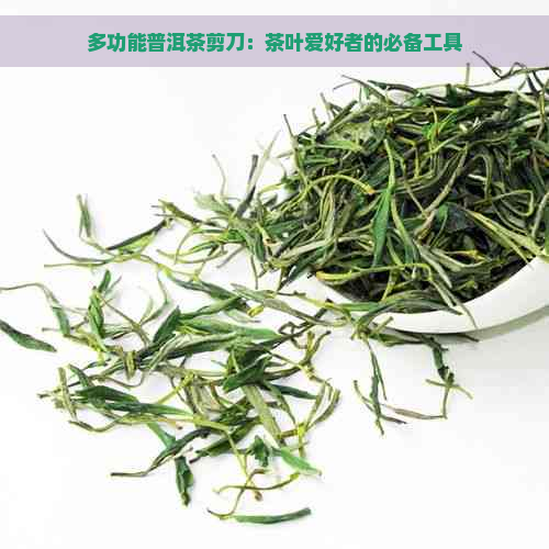 多功能普洱茶剪刀：茶叶爱好者的必备工具