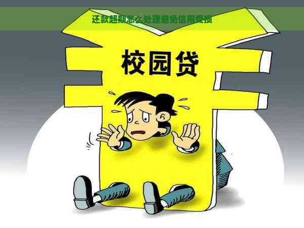 还款超期怎么处理避免信用受损