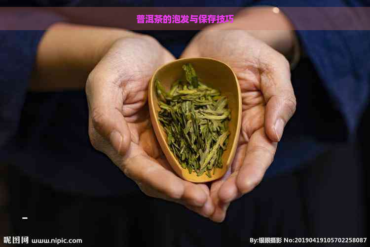 普洱茶的泡发与保存技巧