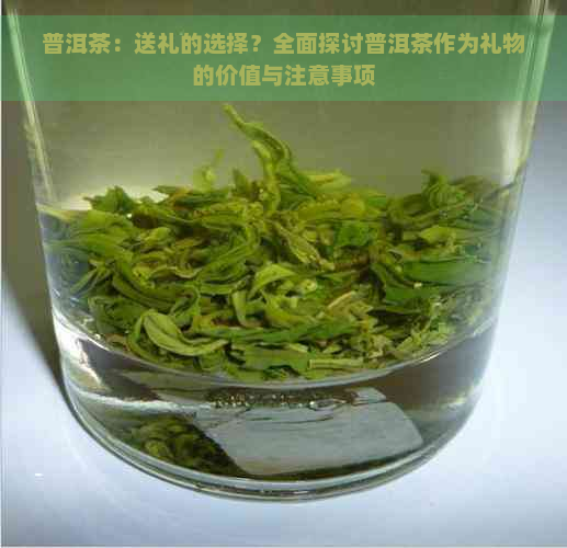 普洱茶：送礼的选择？全面探讨普洱茶作为礼物的价值与注意事项