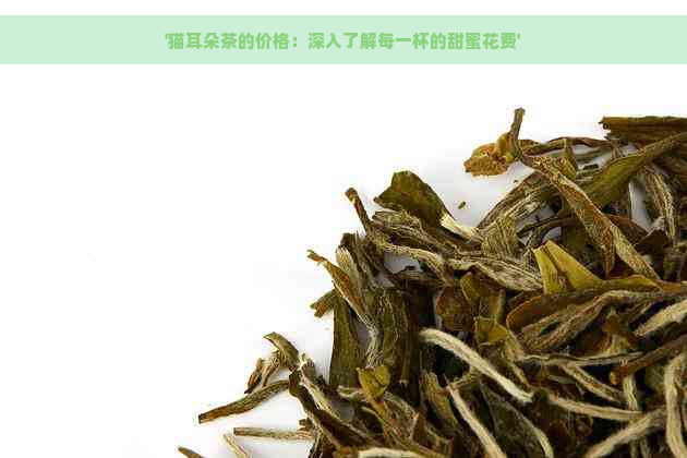 '猫耳朵茶的价格：深入了解每一杯的甜蜜花费'