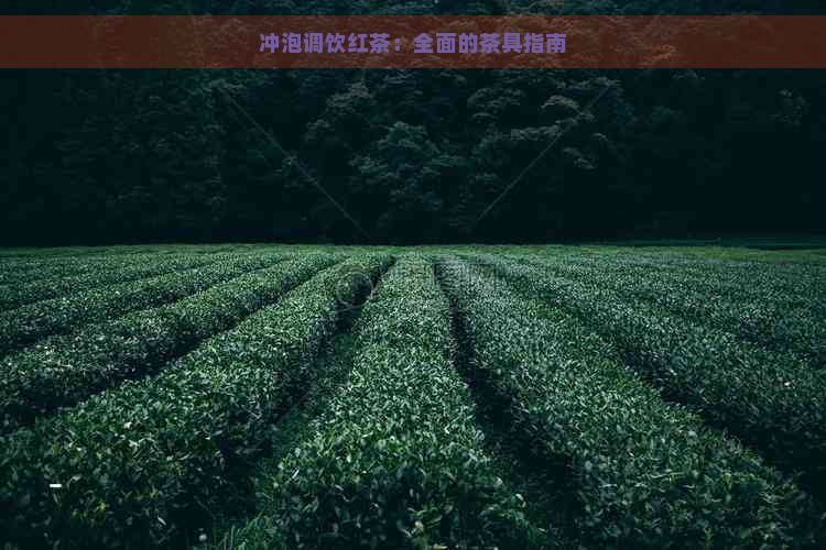 冲泡调饮红茶：全面的茶具指南