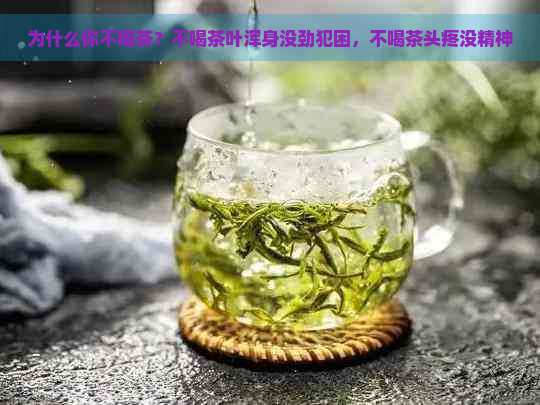 为什么你不喝茶？不喝茶叶浑身没劲犯困，不喝茶头疼没精神