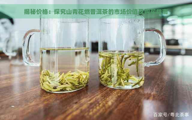 揭秘价格：探究山青花燃普洱茶的市场价值及购买指南