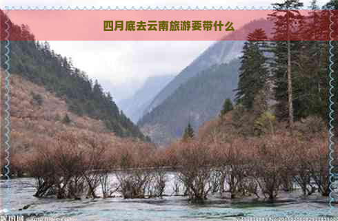 四月底去云南旅游要带什么