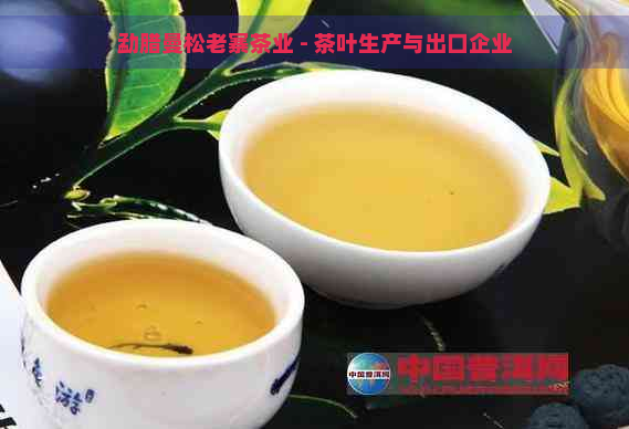 勐腊曼松老寨茶业 - 茶叶生产与出口企业