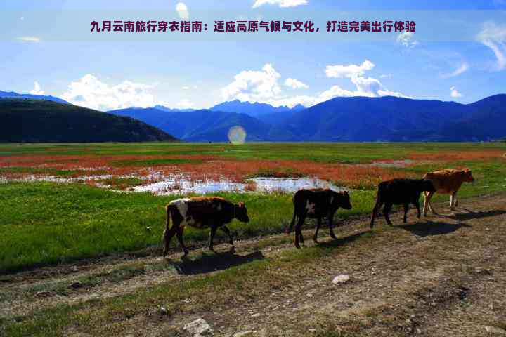 九月云南旅行穿衣指南：适应高原气候与文化，打造完美出行体验