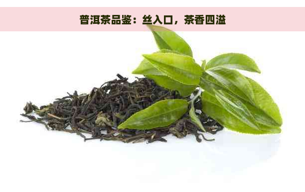 普洱茶品鉴：丝入口，茶香四溢