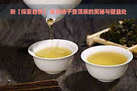 新【探索自然】 发现橘子普洱茶的奥秘与健益处