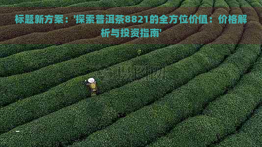 标题新方案：'探索普洱茶8821的全方位价值：价格解析与投资指南'