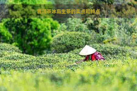 普洱茶冰岛生茶的卖点和特点